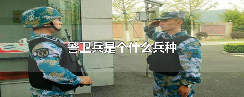 警卫兵是个什么兵种