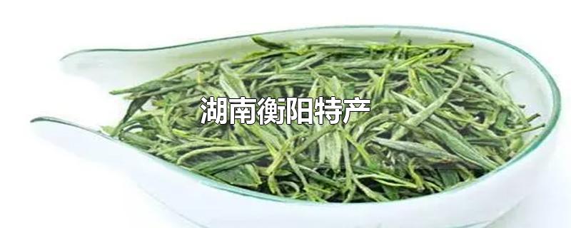 湖南衡阳特产