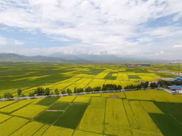 甘肃最佳旅游目的地（甘肃旅游之河西走廊）