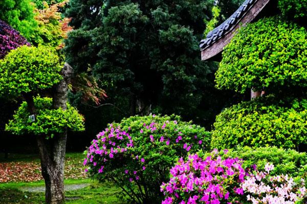 湖南春季旅游最佳去处 湖南春天去哪玩