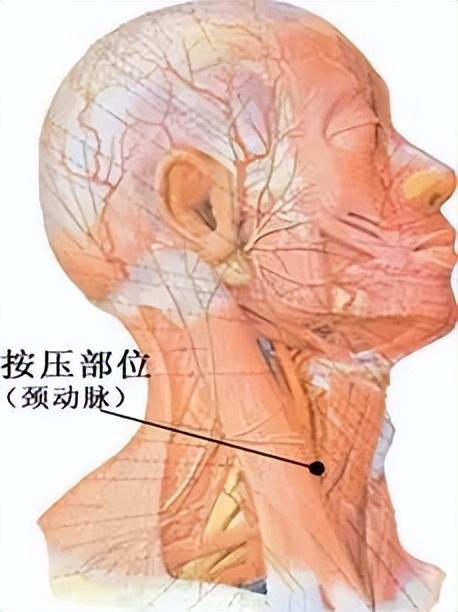 为啥有的情侣接吻时，会亲对方的脖子？  第6张