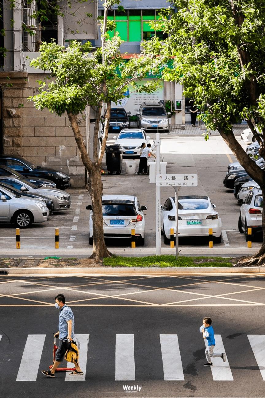 深圳跨境电商：年轻人疯狂涌入，却再难一夜暴富  第8张