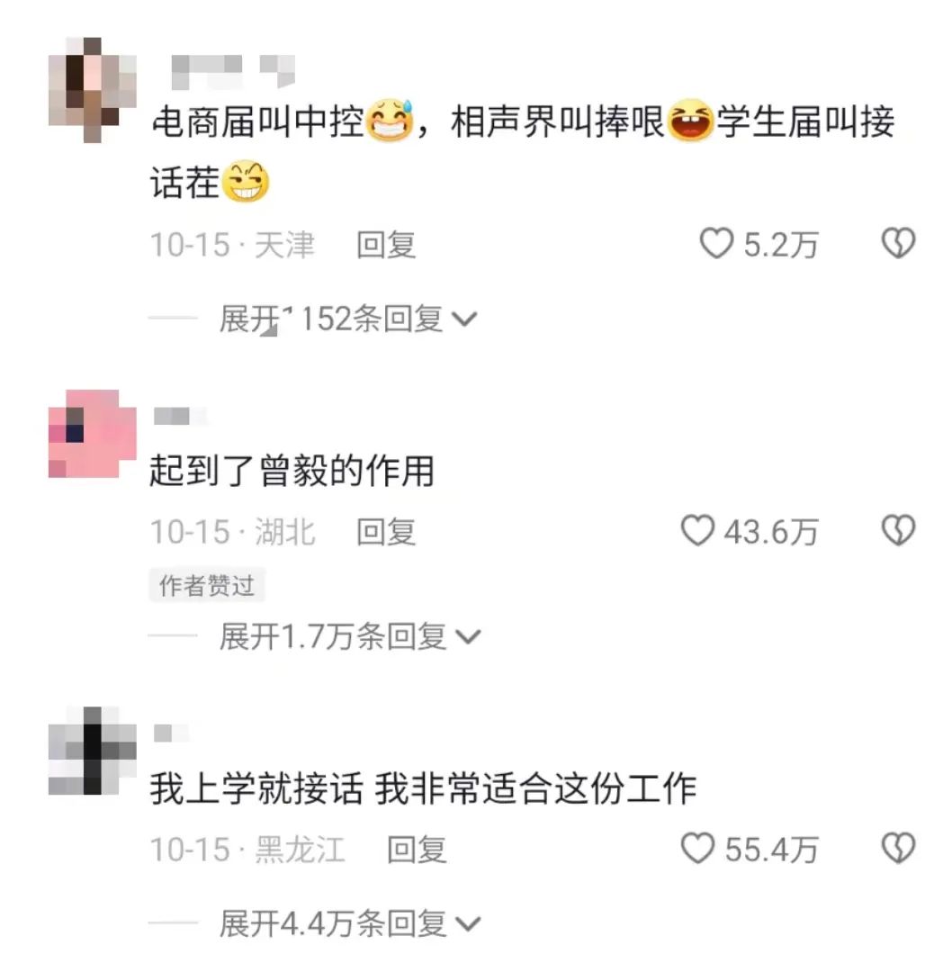 对话 “电商捧哏”，戳破了我 “学会两句话月入八千块” 的幻想  第3张